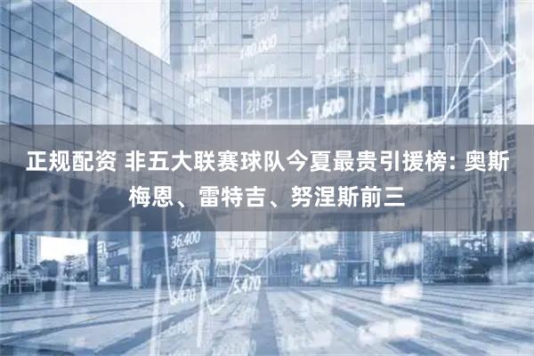 正规配资 非五大联赛球队今夏最贵引援榜: 奥斯梅恩、雷特吉、努涅斯前三