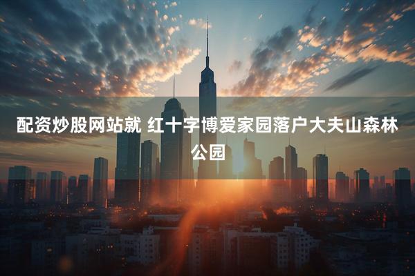 配资炒股网站就 红十字博爱家园落户大夫山森林公园