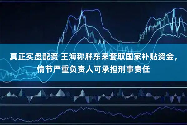 真正实盘配资 王海称胖东来套取国家补贴资金，情节严重负责人可承担刑事责任